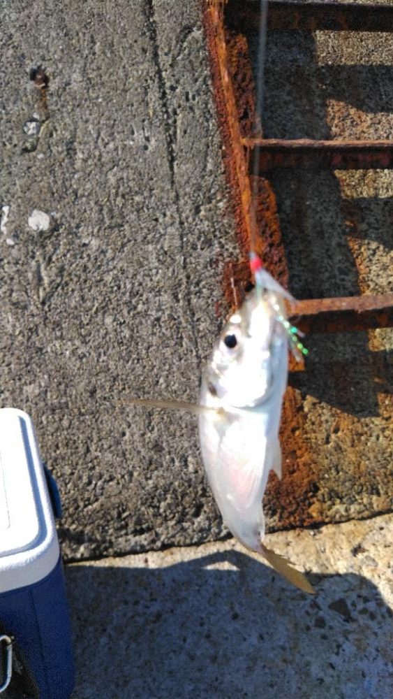 始まってなかった、、、